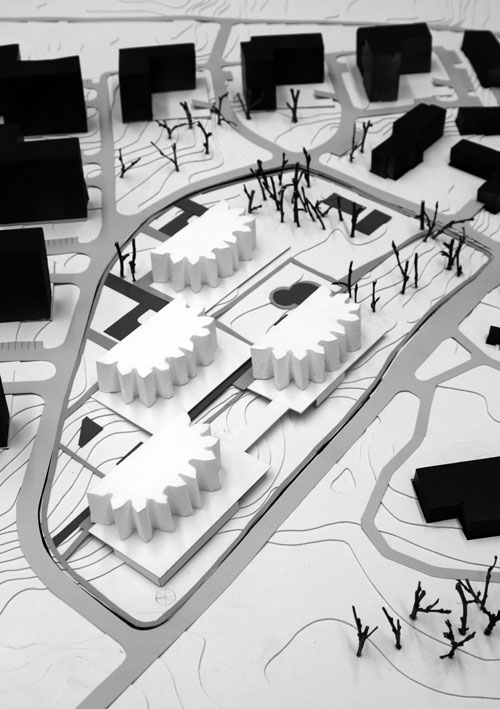 model of the site
