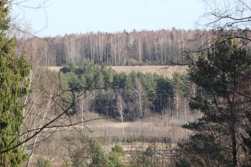 view to the valley of Dubysa river