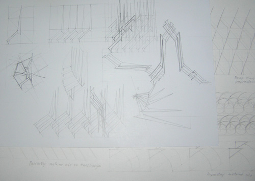 sketch of column vertebrae transformations
